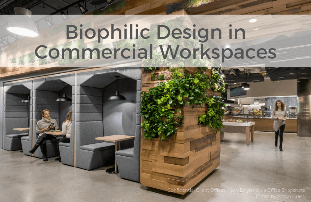 Biophilic Design in Commercial Workspaces