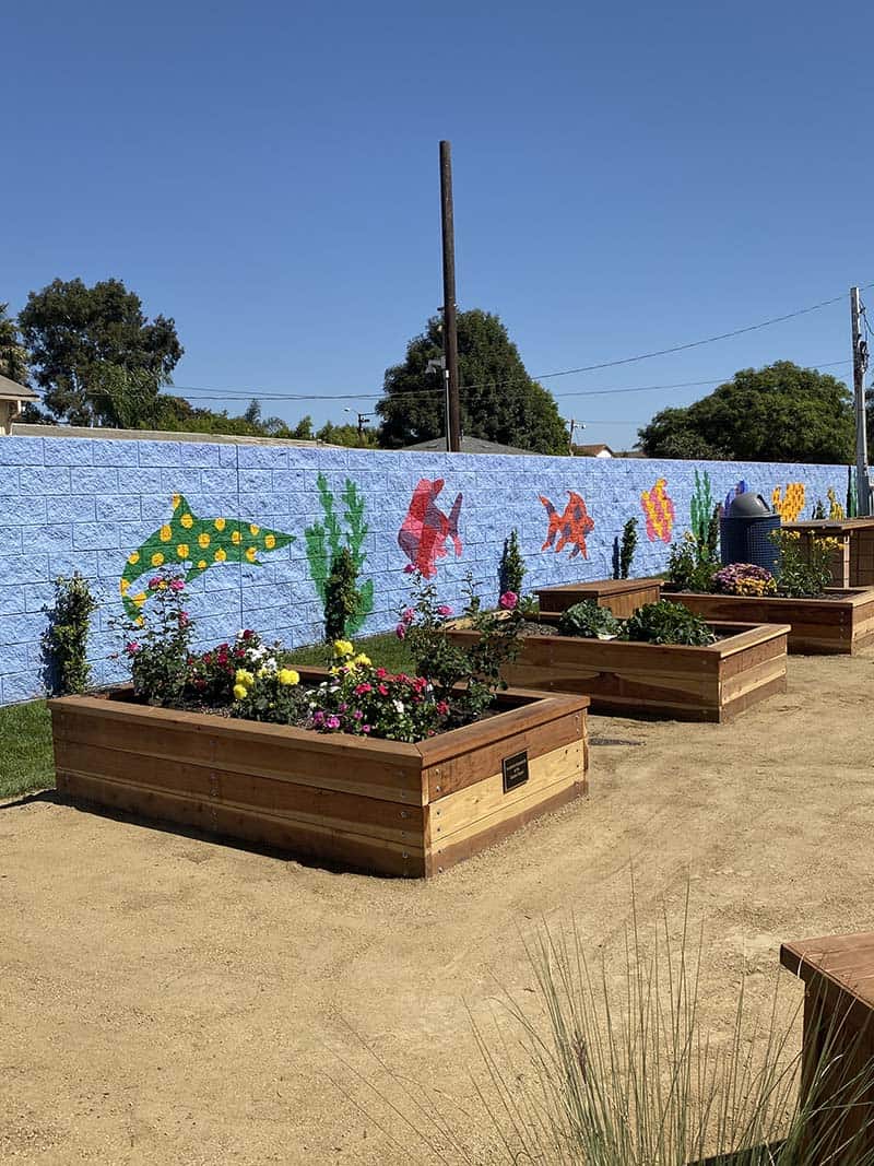 Picture of several OBV raised flower beds against colorful ocean-themed mural
