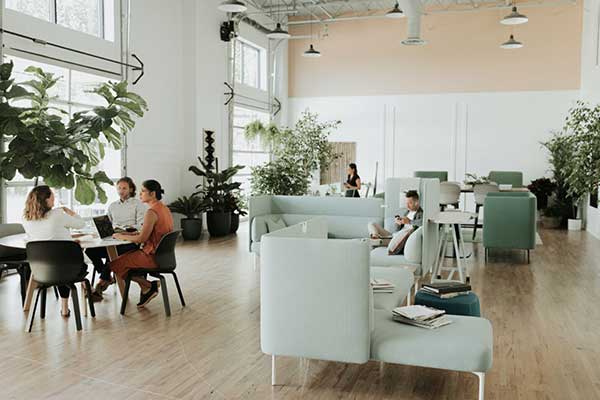 Offices with real plants and natural light represent biophillic design.